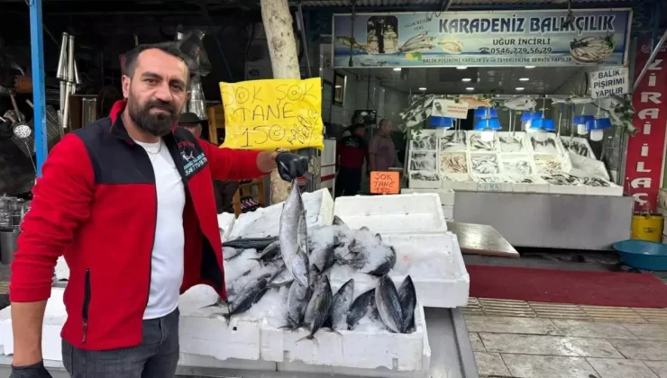 Kilis’te Balık Satışları Artıyor